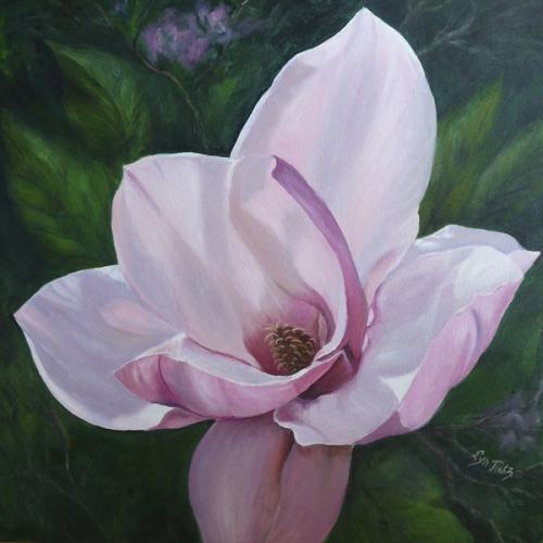 Pink Magnolia