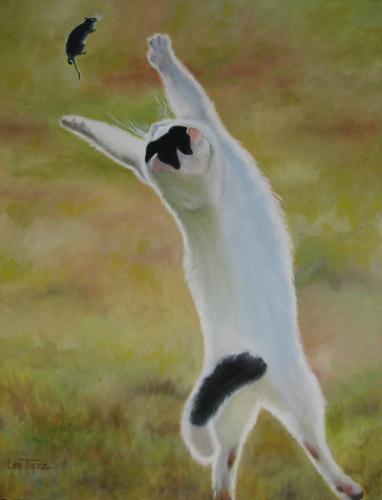 Cat and Mouse