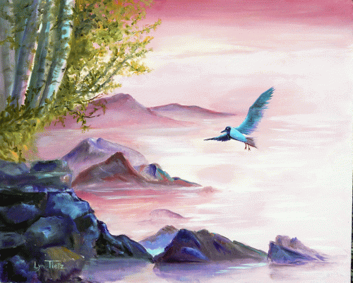 Bird Soaring