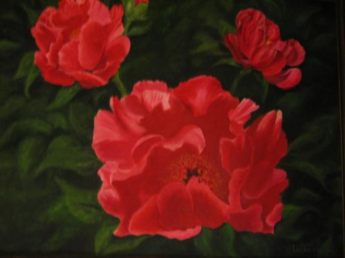 Brilliant Red Peonies 19x25 oil