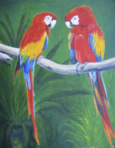 Colorful Macaws
