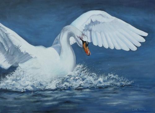 Graceful White Swan