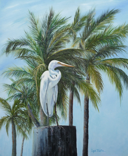 Great White Egret