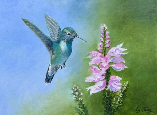 Happy Hummingbird